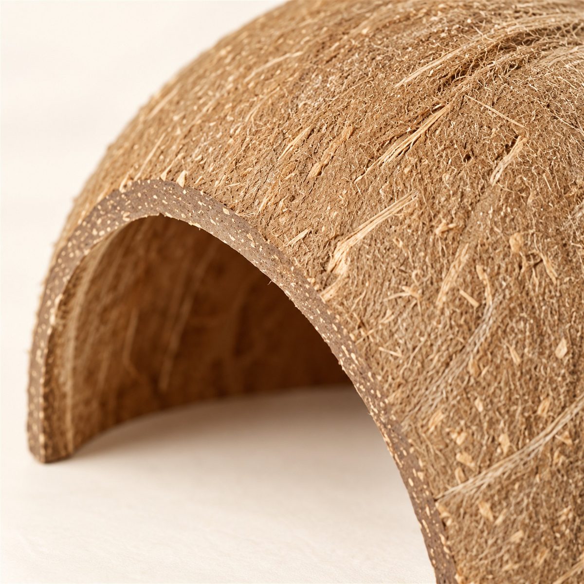 Illustrative image of Coconut Hideout, close-up detail